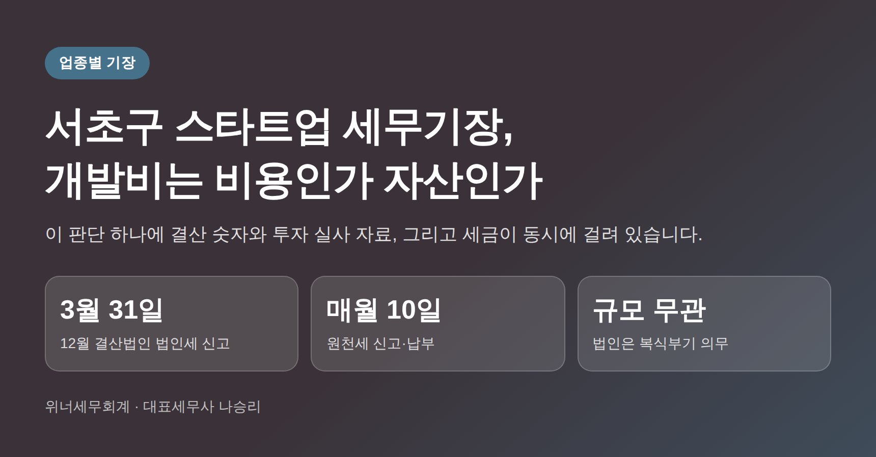 서초구 스타트업 세무기장 핵심 요약 — 개발비 처리와 법인 신고 일정