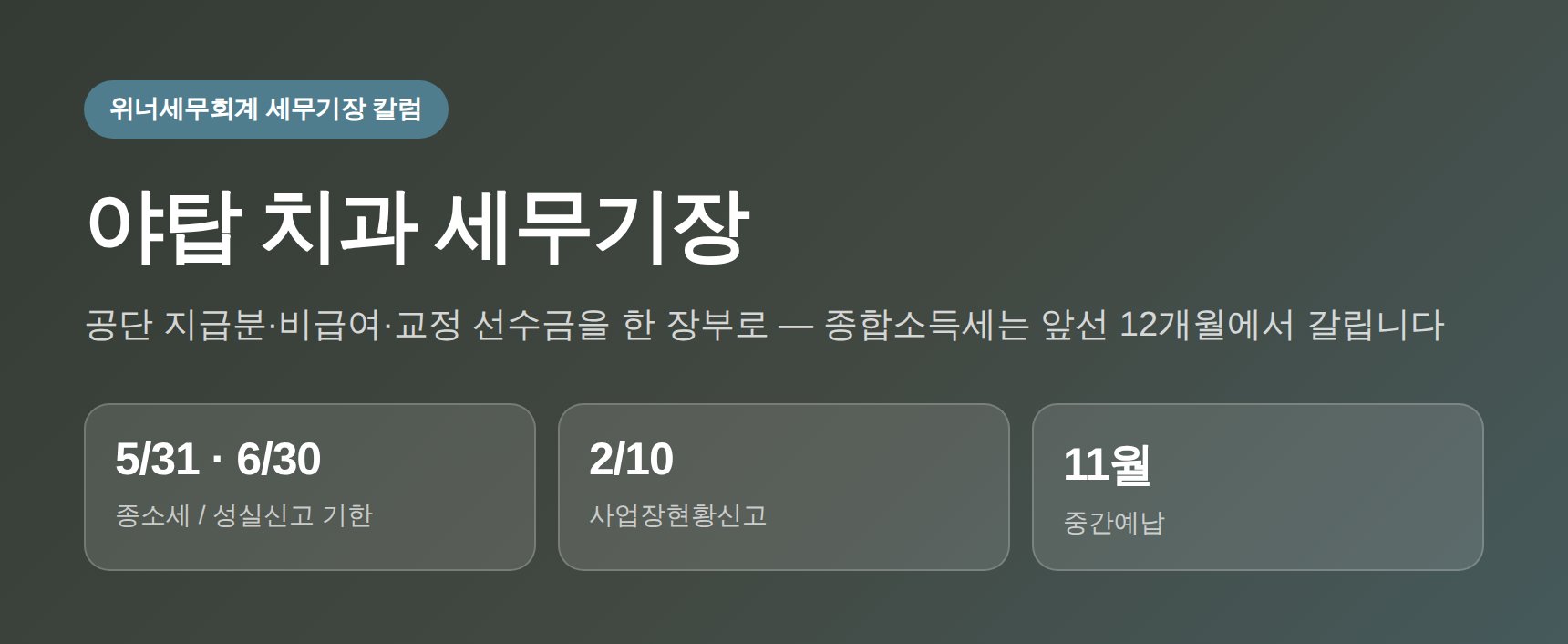 야탑 치과 세무기장 대표 이미지 — 종합소득세·성실신고 대비 장부관리