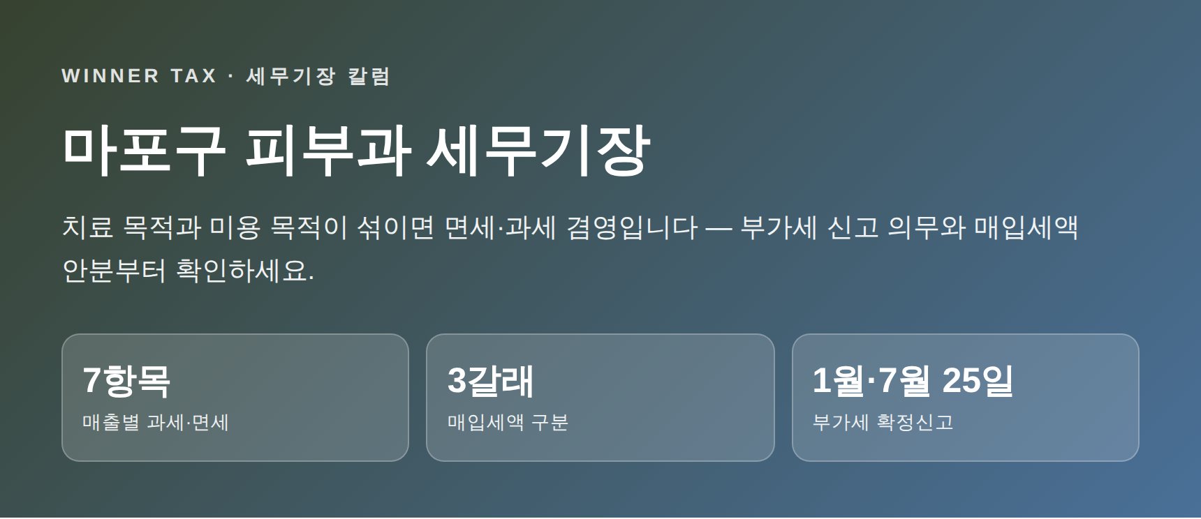 마포구 피부과 세무기장 핵심 요약 히어로 이미지